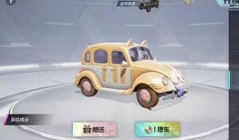 最新皮肤爆料车皮,炫酷外观与独特设计惊艳亮相