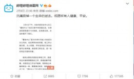 布莱泽的最新爆料