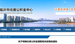 金大锤爆料泰山最新消息,金大锤独家爆料揭秘